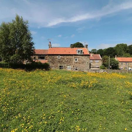 Ivy Cottage, *